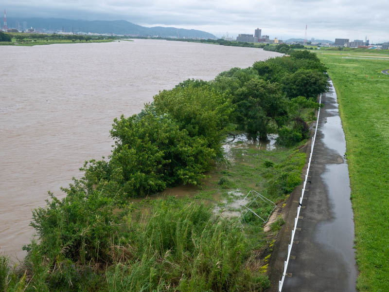 昨夜からの大雨で浸水した深北緑地。淀川も普段より増水してた