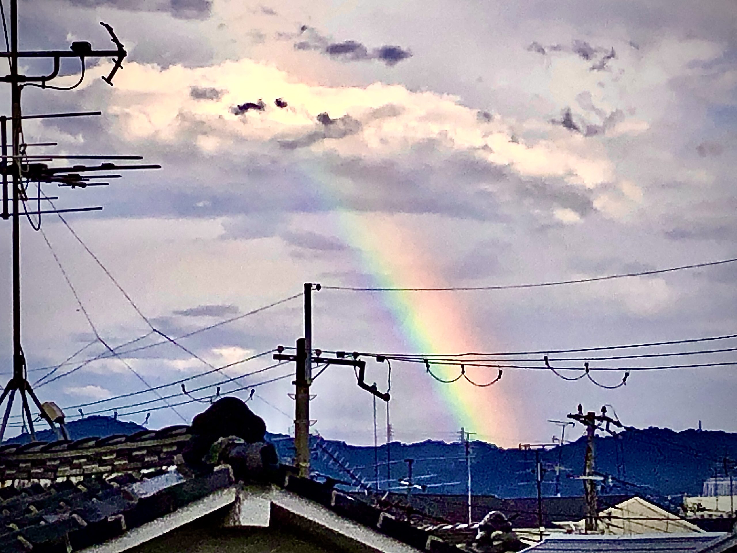 夕立がなかったのに見えた虹【ねやつーフォト】 - 寝屋川つーしん