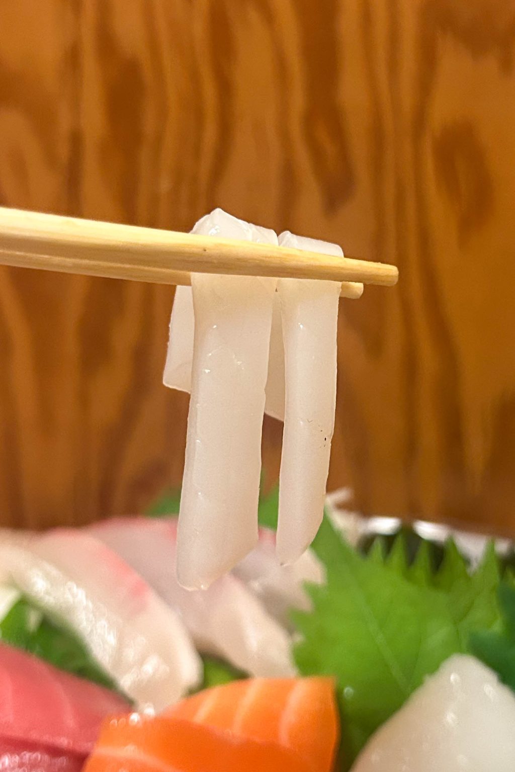 ケンサキイカ