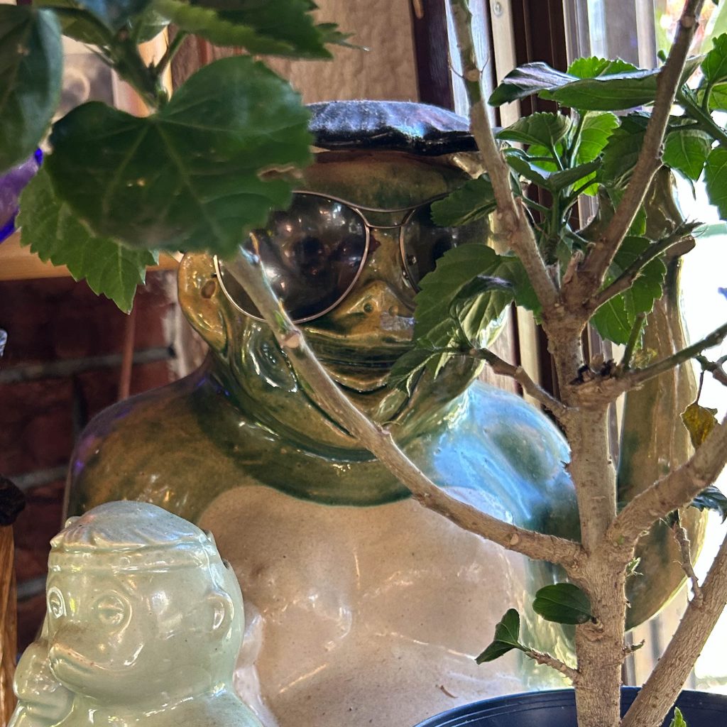 サングラスをかけた河童