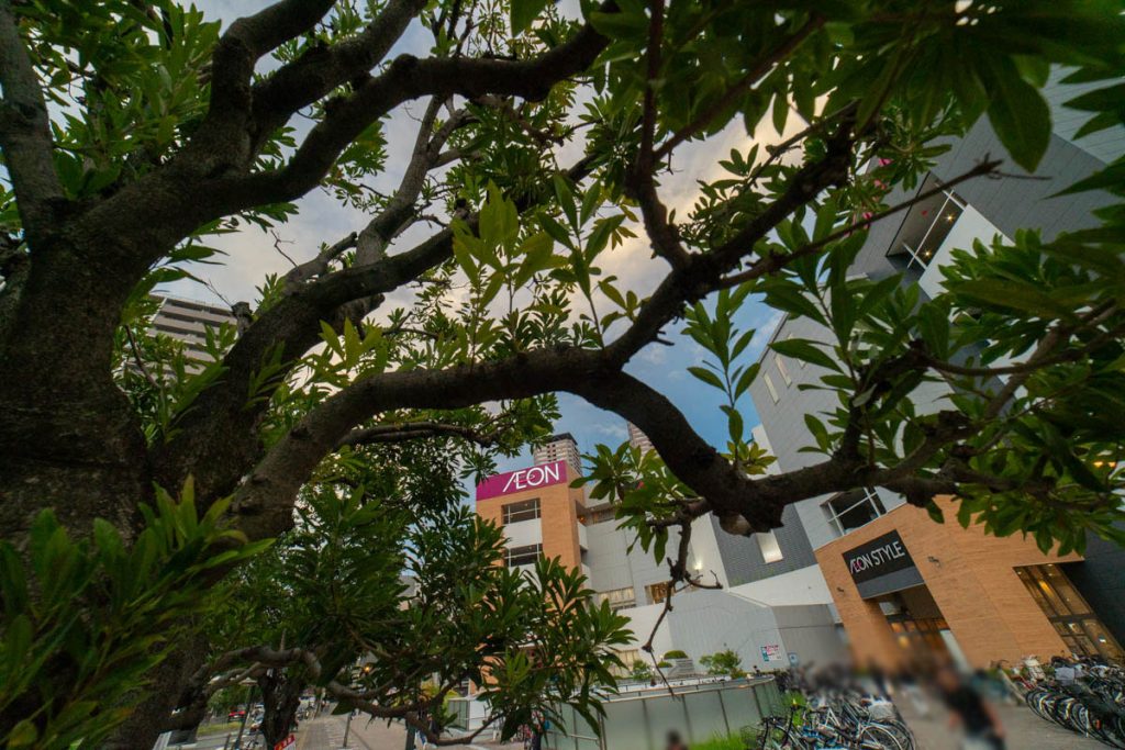 守口市大日東町 イオンモール大日