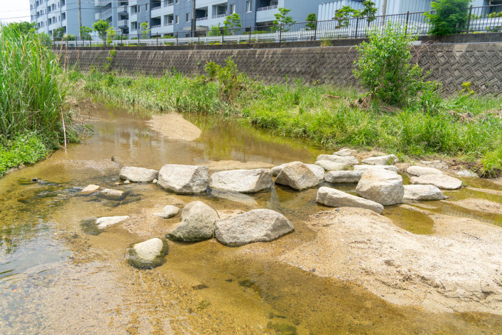 寝屋川市幸町の幸町公園