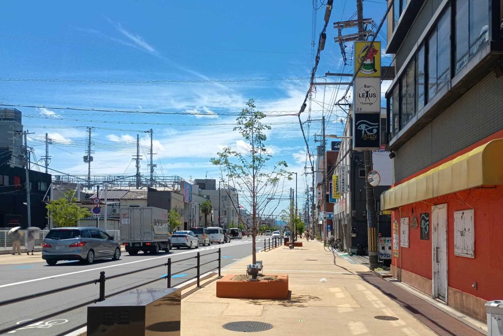 寝屋川市大利町 府道18号線 メタセコイア