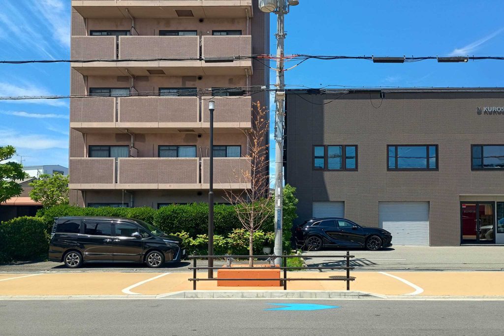 寝屋川市大利町 府道18号線 メタセコイア