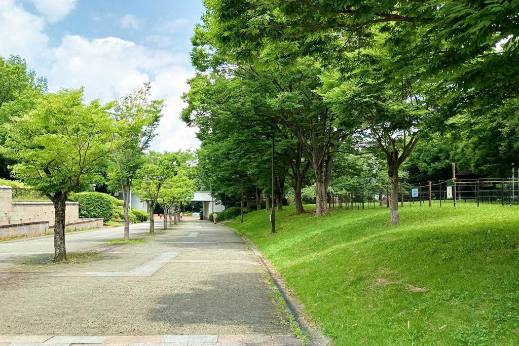 寝屋川市打上中町 寝屋川公園