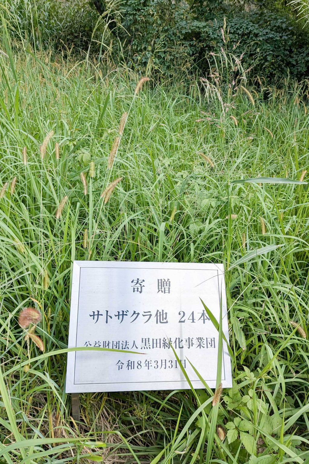 大東市深野北 寝屋川市河北中町 深北緑地