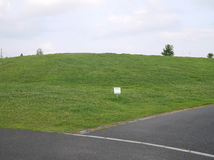 P1710673