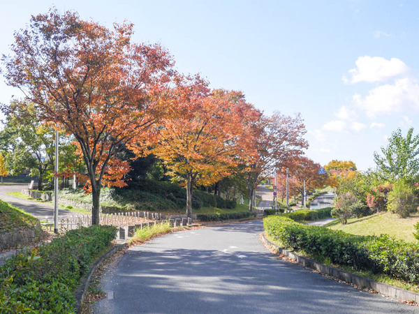 寝屋川公園　紅葉2020年11月-14