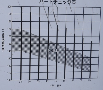 P1330175 - 拡大