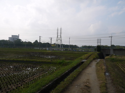 P1020067