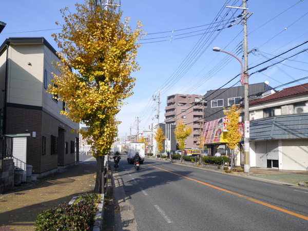 池田秦線 イチョウ 剪定 2020年12月-3