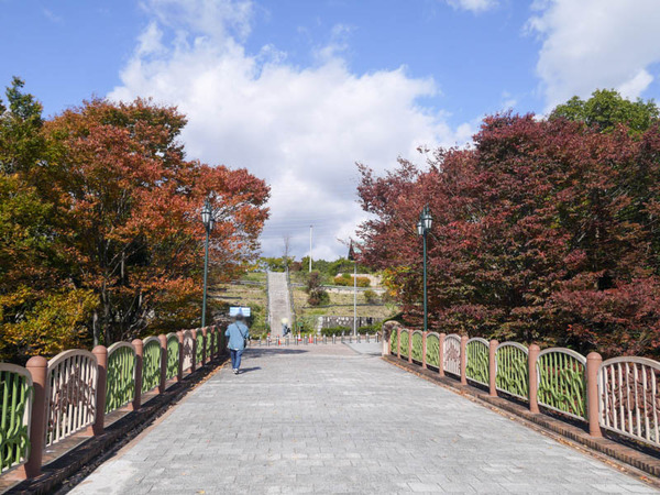 寝屋川公園　紅葉2020年11月-11