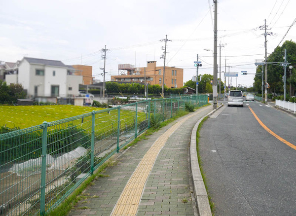 中神田町の田んぼ-2