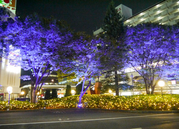 寝屋川市駅東口イルミネーション2020年10月-13