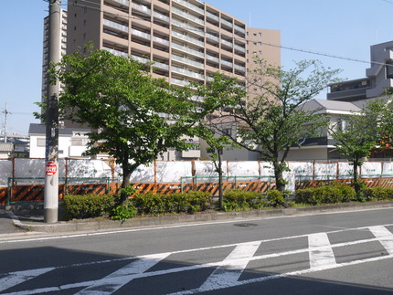 P2450518