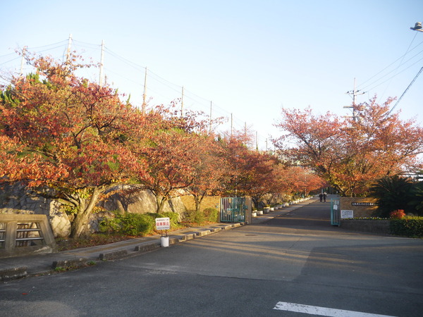 北かわち皐が丘高校