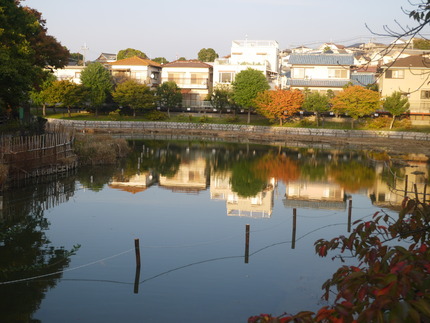 P1260660