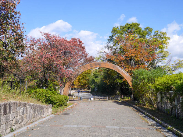 寝屋川公園　紅葉2020年11月-8