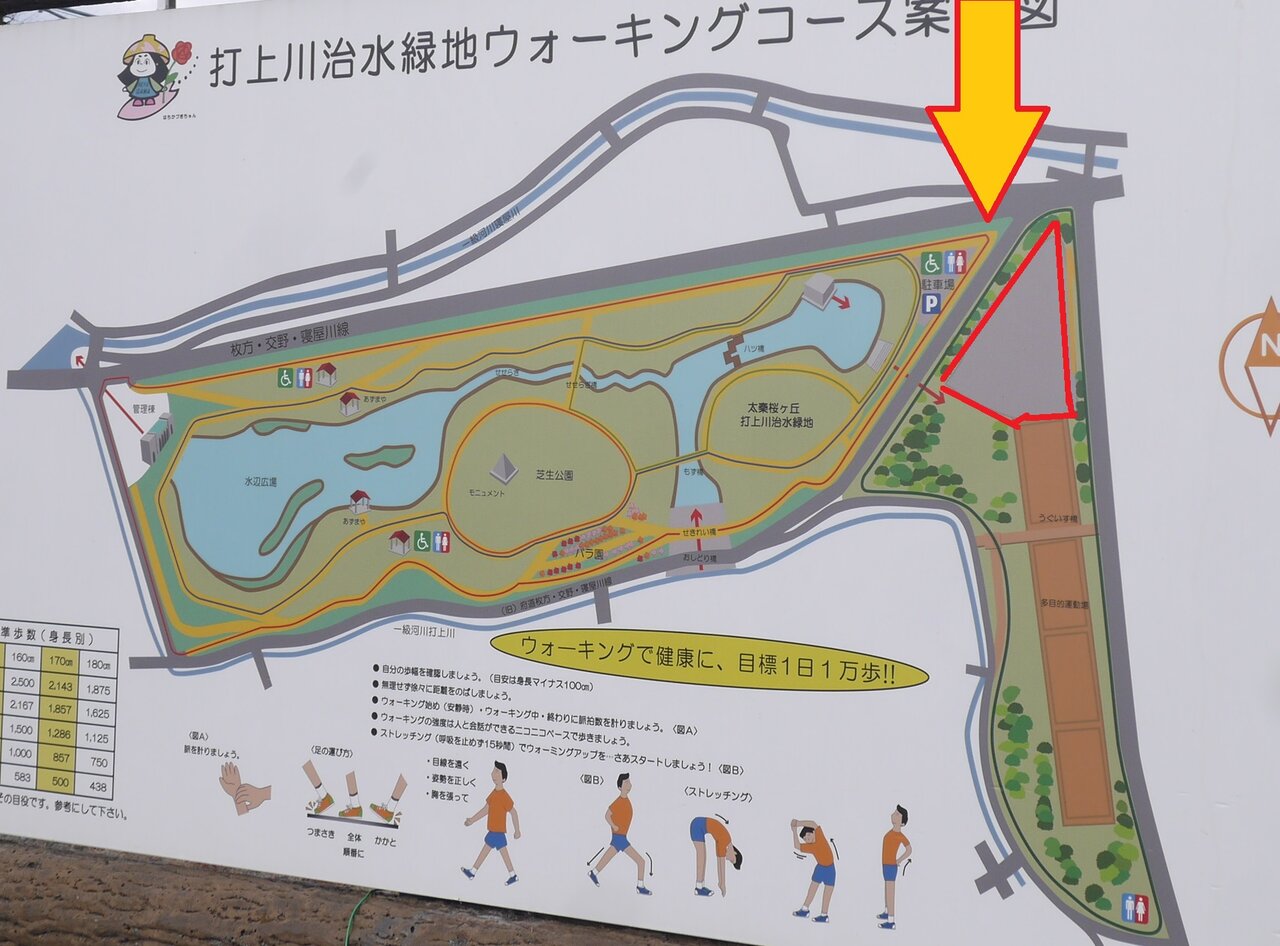 打上川治水緑地に有料駐車場がオープン 車での来園が便利に 駐車料金は平日 土休日で異なる体系 寝屋川つーしん 打上川治水緑地に有料駐車場がオープン 車での来園が便利に 駐車料金は平日 土休日で異なる体系 寝屋川つーしん