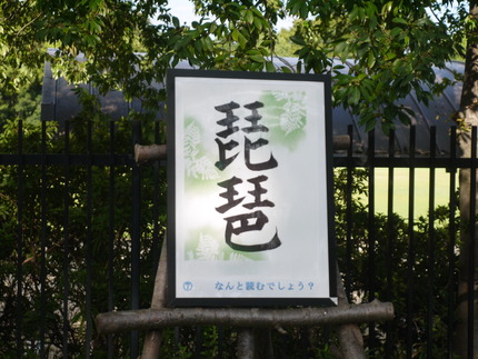 P3010505