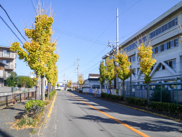 木田小学校前の道路 紅葉-5