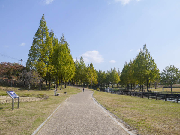 打上川治水緑地の紅葉 2020年10月-2