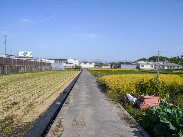 高宮 田んぼ2020年10月-5