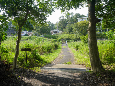 細屋神社　移転-6