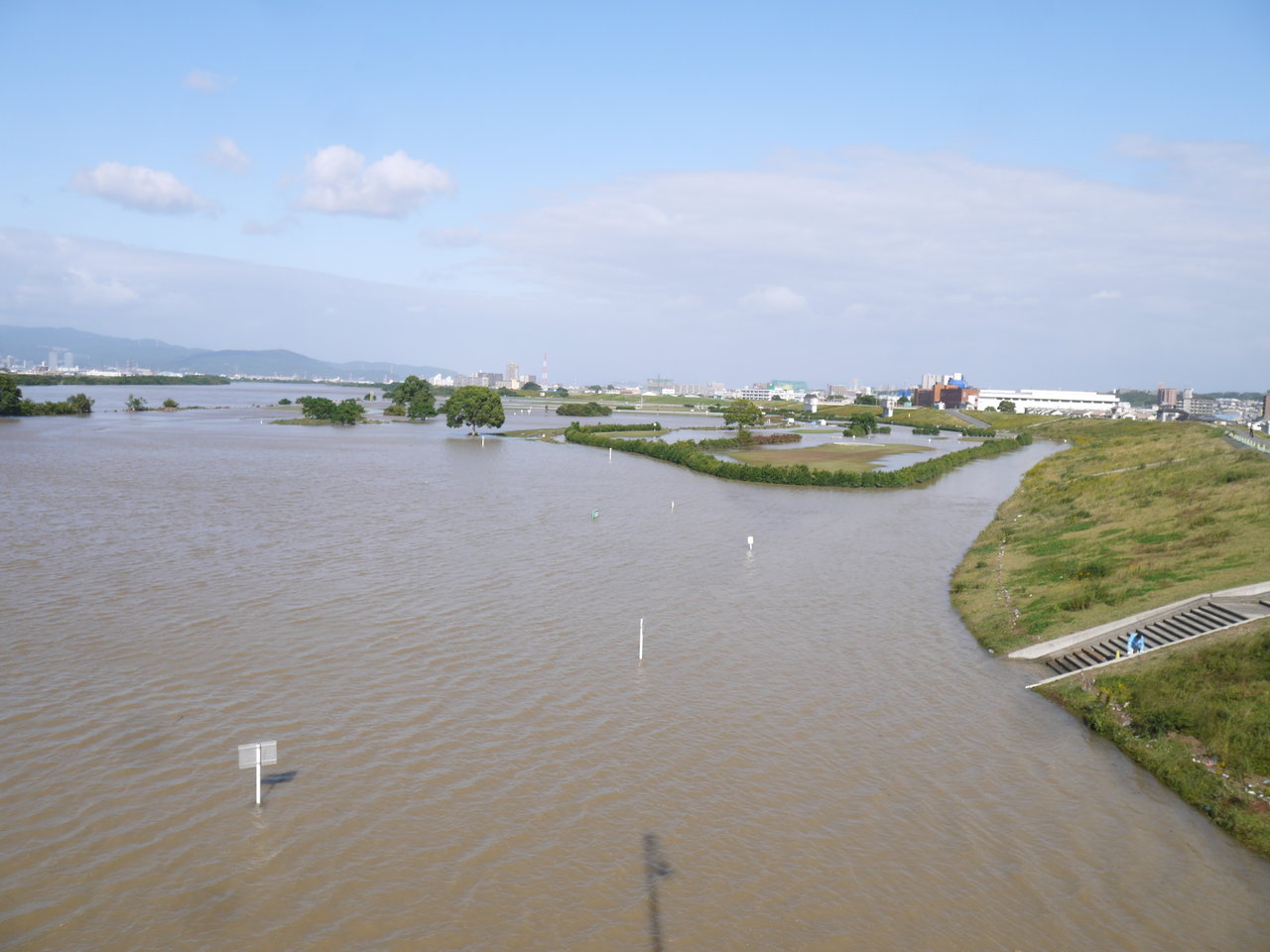 大雨で増水する淀川 河川公園には近づかないようにご注意 寝屋川つーしん