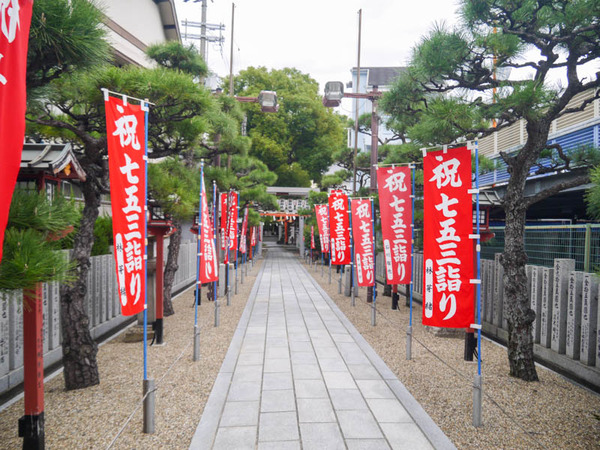 八坂神社 七五三 2020年11月-2