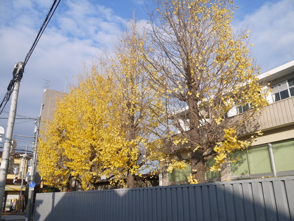 P1530278