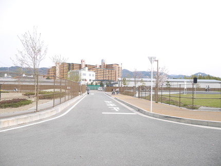 右が自転車の駅、左が公園