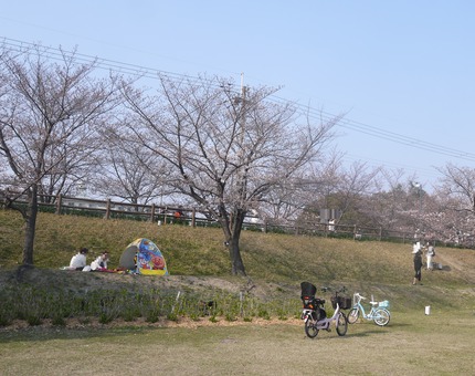 P2410275