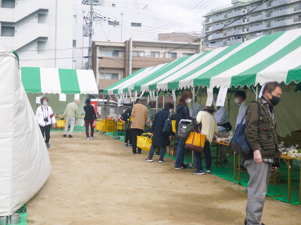 野菜即売会2020年11月-9