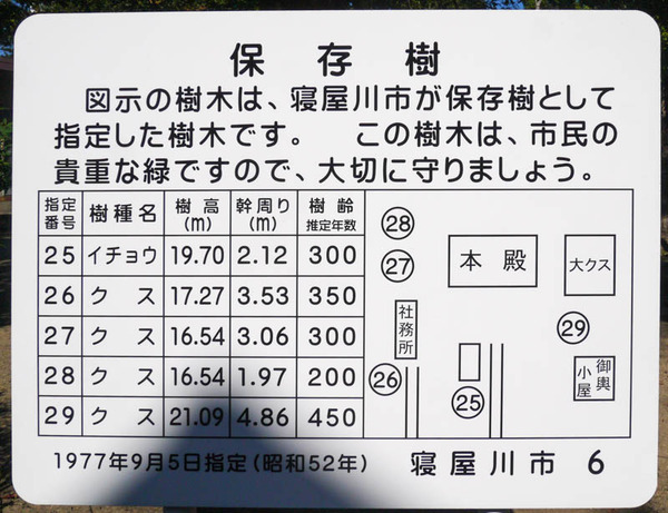 神田天満宮クスノキ2020年10月-1