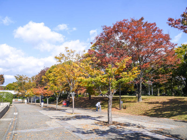 寝屋川公園　紅葉2020年11月-9