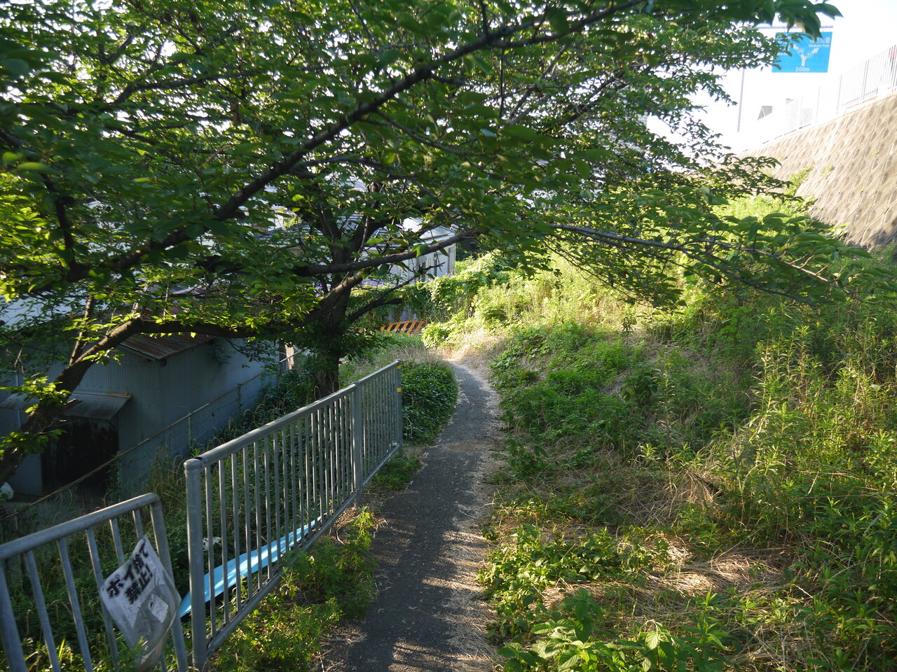 田井町の国道に上がる遊歩道の獣道感がすごい 寝屋川珍百景 寝屋川つーしん