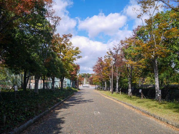 森の展示室2020年11月-1