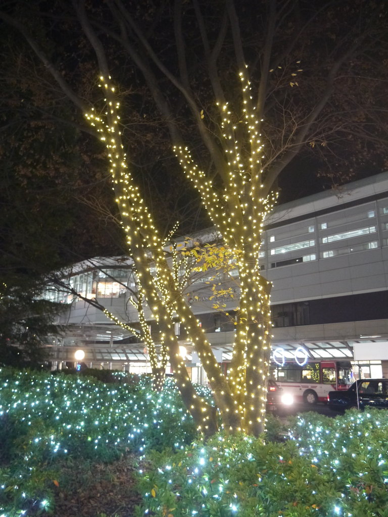 寝屋川市駅東口のイルミネーション18 バスロータリーの樹木が光り輝いて綺麗 寝屋川つーしん