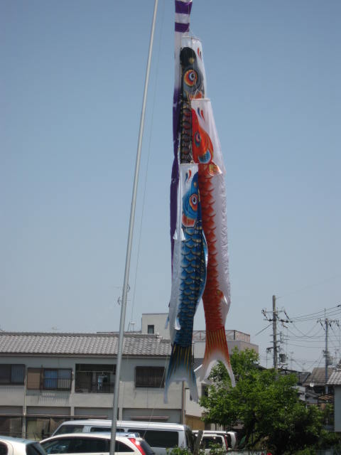 長栄寺町にある大きなこいのぼりを撮影（まち画像） - 寝屋川つーしん