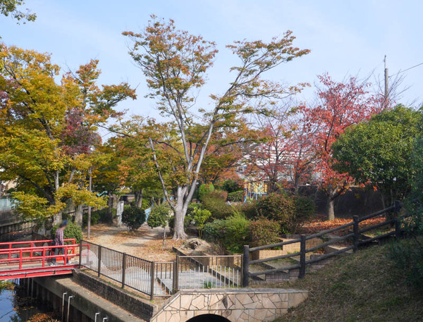 タコ公園 紅葉2020年11月-5