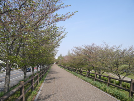 P1380849