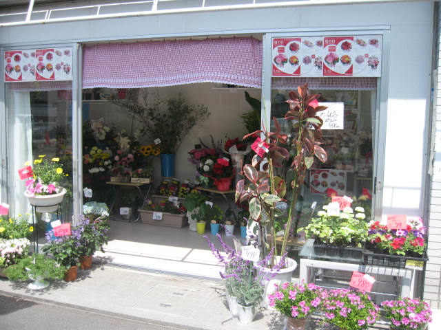 昭栄町に花屋の セイソ ローサ が開店している 寝屋川つーしん