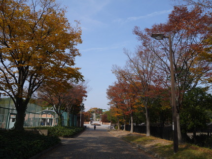 P1020870