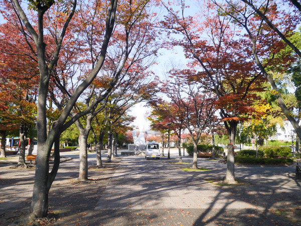 初本町公園 紅葉2020年11月-6