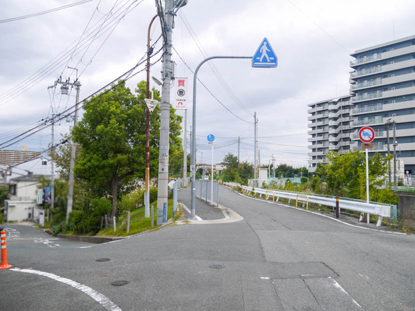 桜木町コスモス 2020年10月-11