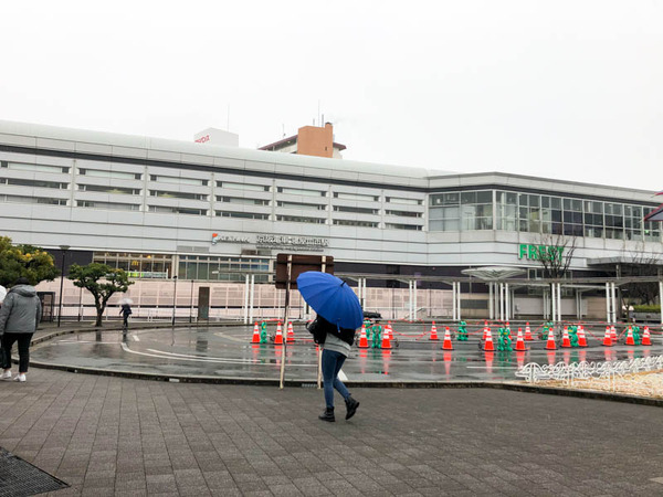 1月12日 雪-2