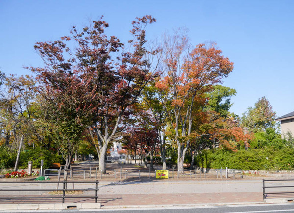 初本町公園 紅葉2020年11月-5